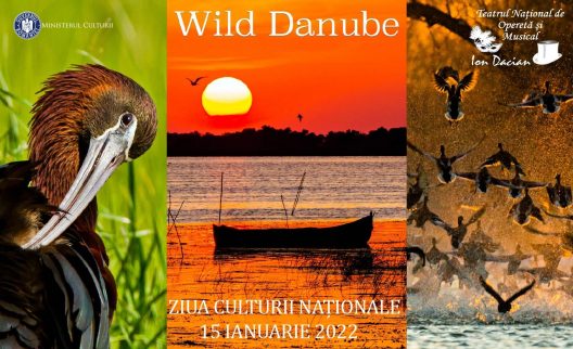 Wild Danube final